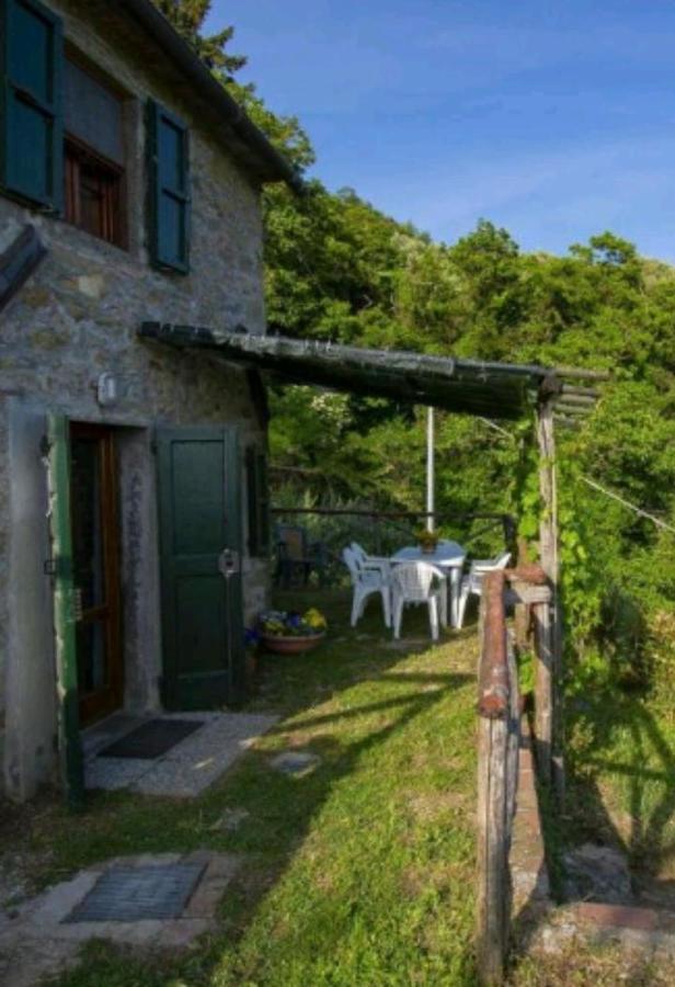 Villa Casa Serena Petrognano  Exterior foto
