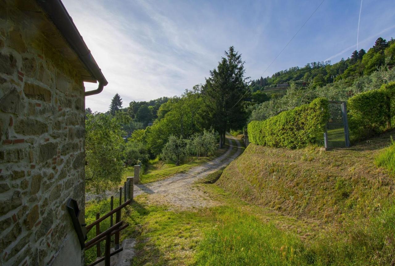 Villa Casa Serena Petrognano  Exterior foto