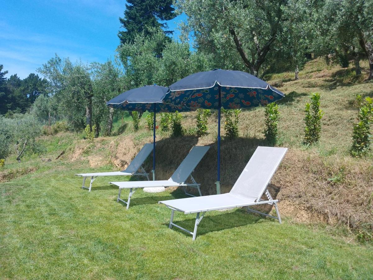 Villa Casa Serena Petrognano  Exterior foto